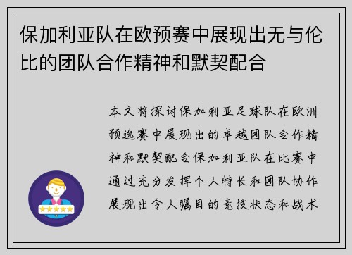 保加利亚队在欧预赛中展现出无与伦比的团队合作精神和默契配合