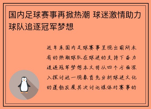 国内足球赛事再掀热潮 球迷激情助力球队追逐冠军梦想