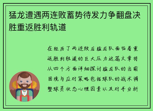 猛龙遭遇两连败蓄势待发力争翻盘决胜重返胜利轨道