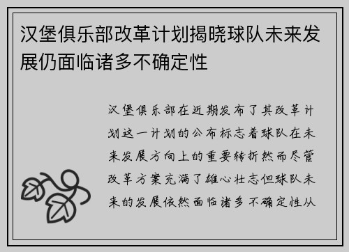 汉堡俱乐部改革计划揭晓球队未来发展仍面临诸多不确定性